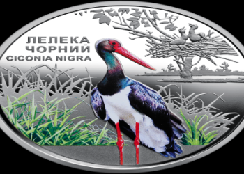 Who Is Mackenzie Dern Dating in 2024? Meet Her New Boyfriend Antonio Trocoli