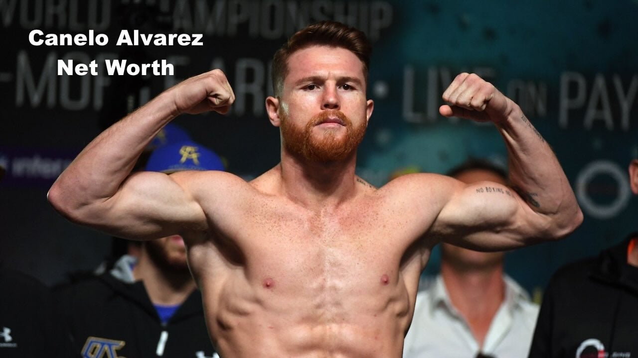 Canelo Alvarez Net Worth 2023: Earnings, Businesses & More Revealed