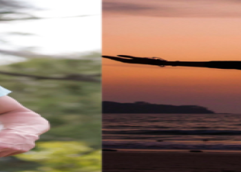 Who is Taylor Moores Wife? Everything You Need to Know