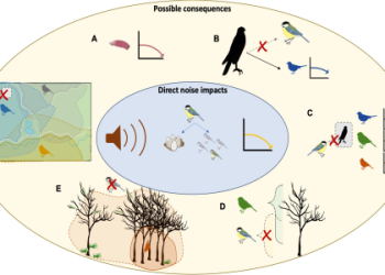 Exploring the Impact of MS Hancock County: Economic Growth and Development