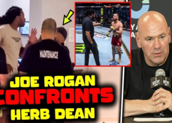 How Much Does Herb Dean Make as a UFC Referee?