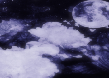 Buddy Matthews & Rhea Ripley NSFW Photo Sparks Social Media Reactions