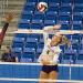 Reese Emerick: Texas Volleyball Star and Westlake Liberos Journey