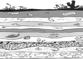 The Rocks Iconic Bull Tattoo: How It Evolved into a Powerful Symbol of Resilience