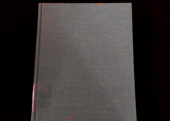 Meet Olivia Peet: Ludwig Abergs Girlfriend and Top Tennis Player