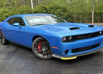 Charleston Challenger 2024: Full Draws, Results, and Top Seeds