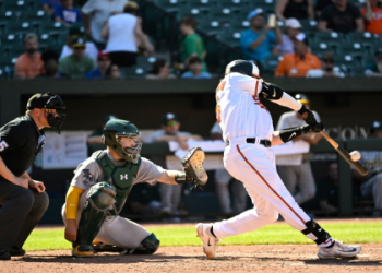 Adley Rutschmans Personal Life: Is There a Mrs. Rutschman?