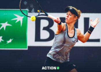 Qinwen Zheng Prediction: Tips for Beginners and Experts