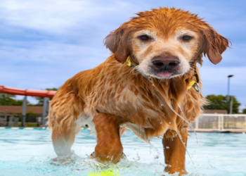 Buy Street Trash T Shirt Online: Discover Exclusive Designs and Unleash Your Inner Punk