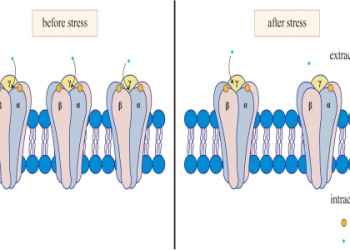 Breaking News: Gil Reyes Daughter Involved in Serious Accident