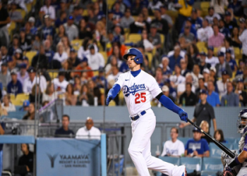Who Shined? atlanta braves vs dodgers match player stats Breakdown