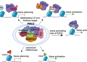Navone vs Nadal Prediction: Easy Tips for Betting!