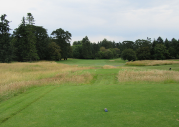 Whats Carlos Ortiz Net Worth in 2024? (Discover How Much the Golf Pro Has Made)