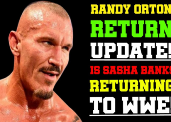 Sasha Banks WWE Return Confirmed? Heres What We Know About Her Possible Comeback!
