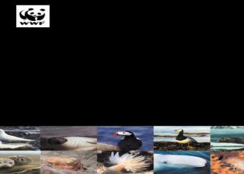 What is Elpidia Valdez? A Simple Guide to This Popular Character