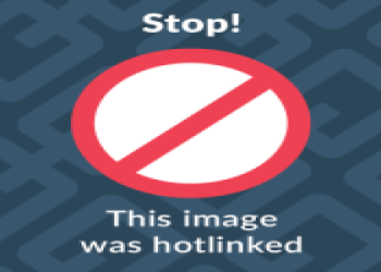 Terr Runnels Explained: Your Easy-to-Understand Guide to Knowing Him!