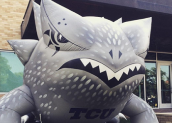 TCU Horned Frogs Mascot: What Is It and Why You Should Care?