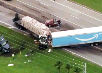 want to know how to get traded in road to the show?