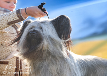 Greer Johnson: The Full Scoop (Learn All About Her Right Now)