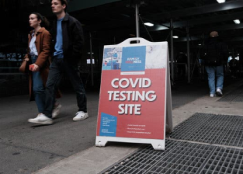 Marci Canha: Whats Her Story? (Get to Know Her Career and Life)