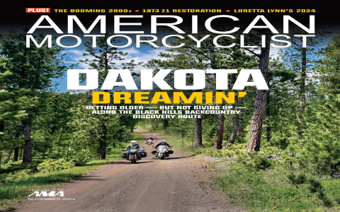 Who Ended the Tribal Chief Streak?  Discover the Details of the Epic End!