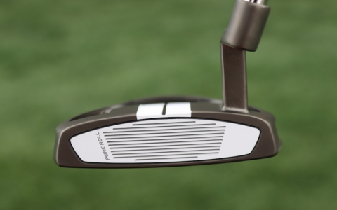 Arnold Palmer Putters Review: Do They Still Perform? (What Real Golfers Are Saying)