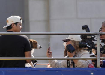 Meet Aaron Judges Dog! Photos and Videos of the Adorable Pet.