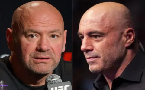 Dana White Blackjack: How to Play Like the UFC Boss