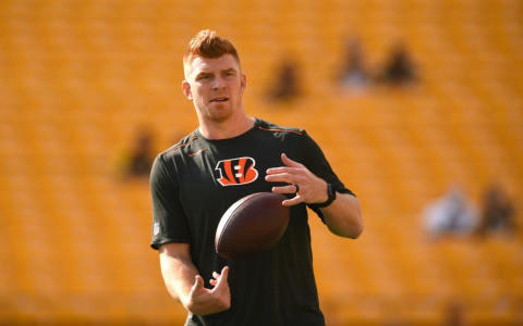 Bengals Sign Kaepernick 2023: Is Colin Kaepernick Joining the Cincinnati Bengals This Year?