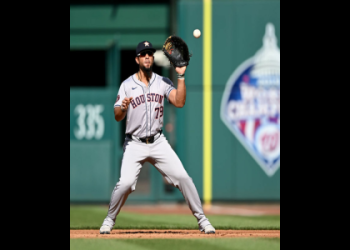 David Walling Yankees Career Overview: Stats, Highlights, and Coaching!