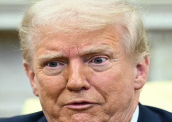 Amanda Balionis Chat: What She Said About Grayson Murray (Full Interview Details)