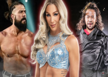 Meet WWEs Shortest Wrestlers,They are Smaller but Mighty!