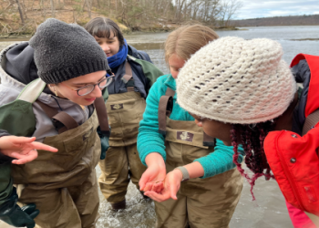 Molly Beers: Whats the Hype About? (A Deep Dive into Molly Beers)