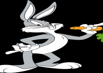 Searching for information on Piggie James? Here is a basic guide covering the most important details.