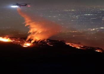 LA Times Crossword Avoids Injury: Get the Answer Now!