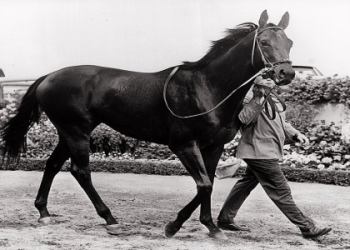 Need Info on Ogden Phipps II? Find Fast Facts and Key Details Here