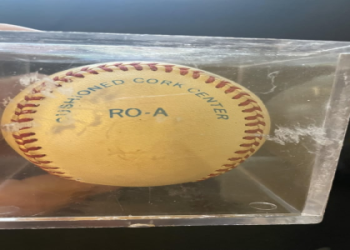 Checking a Joe Dimaggio Cards Value? See How Much Its Worth!