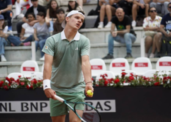 Accurate navarro vs paolini prediction? See what the head to head history tells us.