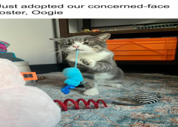 Meet Paige Spiranacs BF: Dating Details and Relationship Timeline Inside.