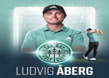 Ludvig Abergs key stats and career highlights so far