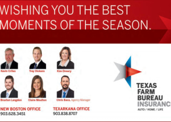 What has Kim Seib been up to lately? (Catch up on their most recent projects and public news easily)