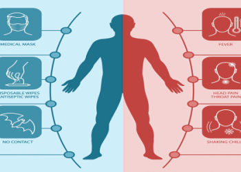 What is the Kelly Kelly test really all about? Find out the essential details simply explained here.