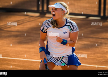 Learn about Anna Blinkovas tennis style: See what makes her game unique on the court.